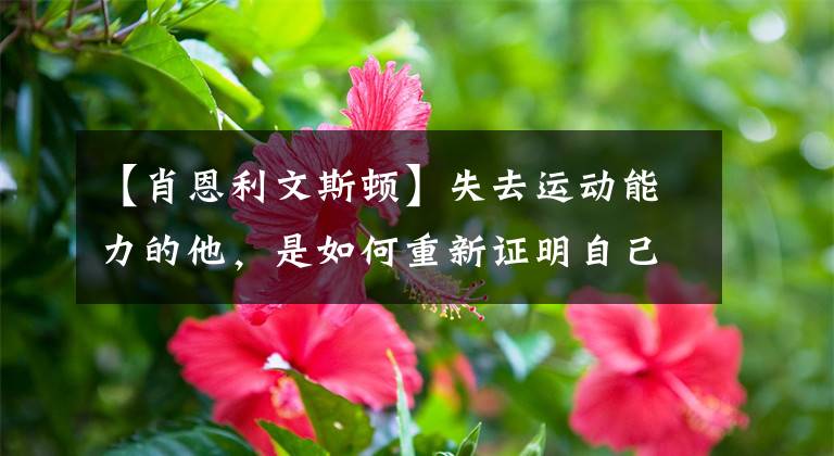 【肖恩利文斯顿】失去运动能力的他,是如何重新证明自己,成为冠军拼图