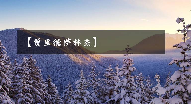 【贾里德萨林杰】