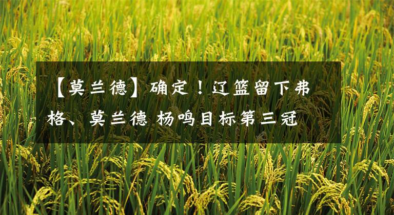 【莫兰德】确定!辽篮留下弗格、莫兰德 杨鸣目标第三冠 26岁后卫成最大输家