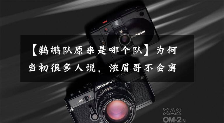 【鹈鹕队原来是哪个队】为何当初很多人说,浓眉哥不会离开鹈鹕队?也认为不会进入湖人队