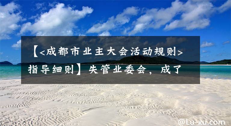 【<成都市业主大会活动规则>指导细则】失管业委会，成了“添堵会”：部分业委会运行乱象调查