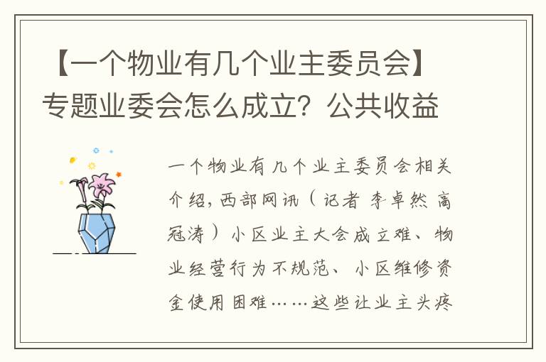【一个物业有几个业主委员会】专题业委会怎么成立?公共收益怎么管理?陕西新修订物业服务管理条例解决这些问题