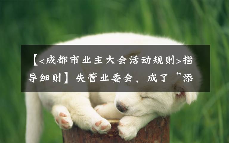 【<成都市业主大会活动规则>指导细则】失管业委会,成了“添堵会”:部分业委会运行乱象调查