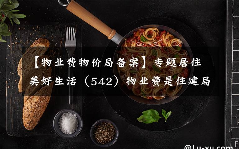 【物业费物价局备案】专题居住美好生活(542)物业费是住建局还是物价局定的?有什么标准