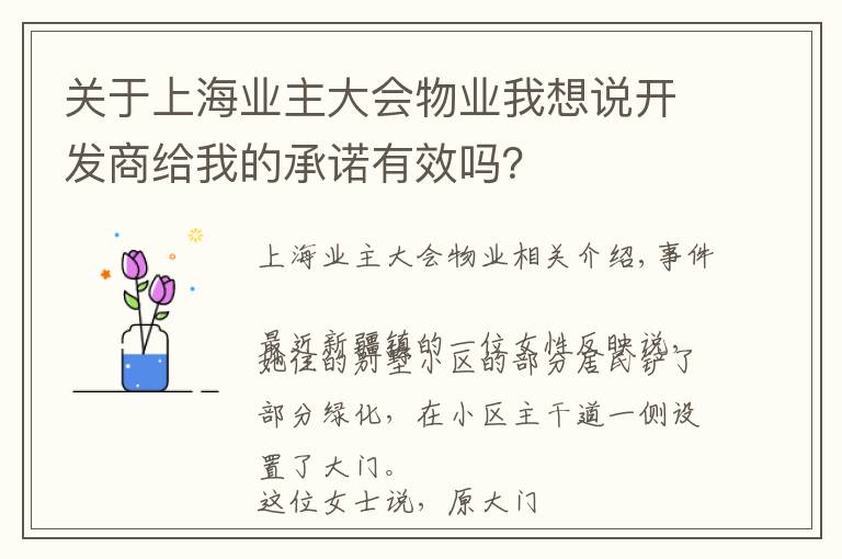 关于上海业主大会物业我想说开发商给我的承诺有效吗?