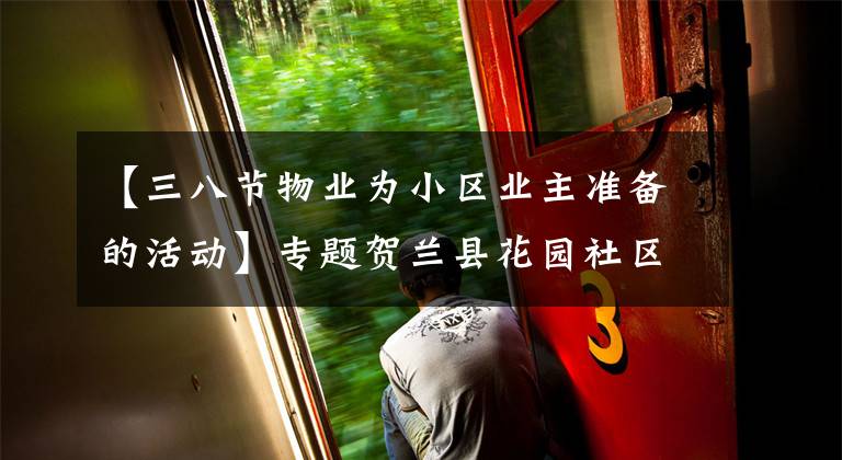 【三八节物业为小区业主准备的活动】专题贺兰县花园社区党总支:“红色物业”成为 基层治理“新引擎”