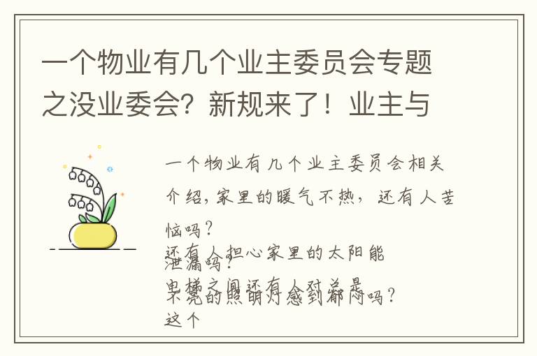 一个物业有几个业主委员会专题之没业委会?新规来了!业主与物业公司共同管理小区