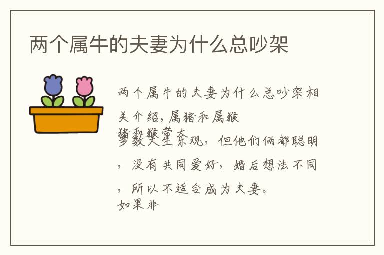 两个属牛的夫妻为什么总吵架