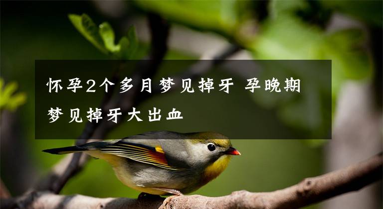 怀孕2个多月梦见掉牙 孕晚期梦见掉牙大出血