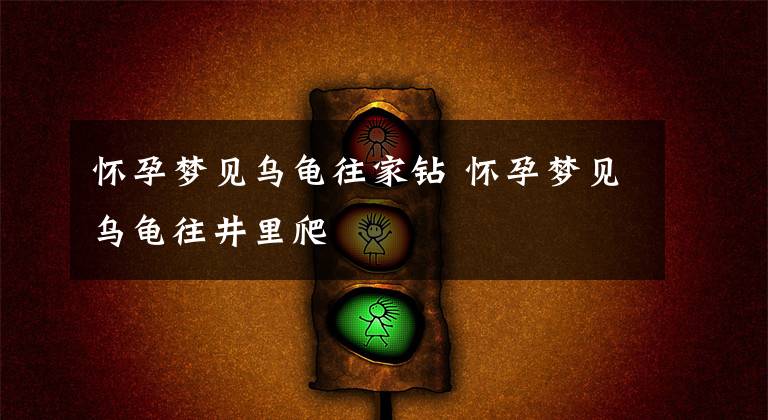 怀孕梦见乌龟往家钻 怀孕梦见乌龟往井里爬
