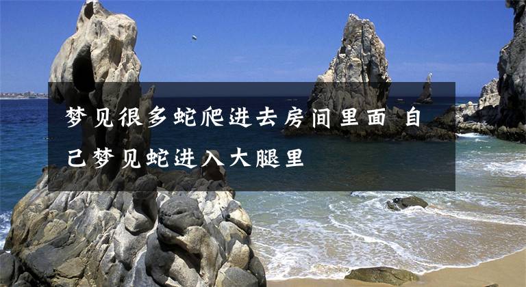 梦见很多蛇爬进去房间里面 自己梦见蛇进入大腿里