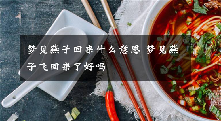 梦见燕子回来什么意思 梦见燕子飞回来了好吗