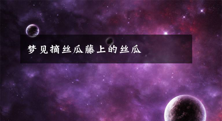 梦见摘丝瓜藤上的丝瓜