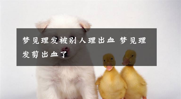 梦见理发被别人理出血 梦见理发剪出血了