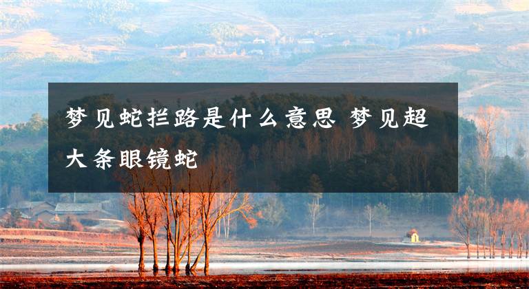 梦见蛇拦路是什么意思 梦见超大条眼镜蛇