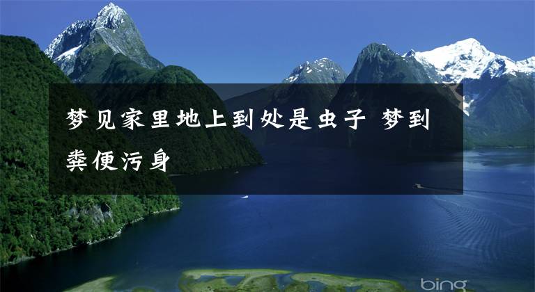 梦见家里地上到处是虫子 梦到粪便污身