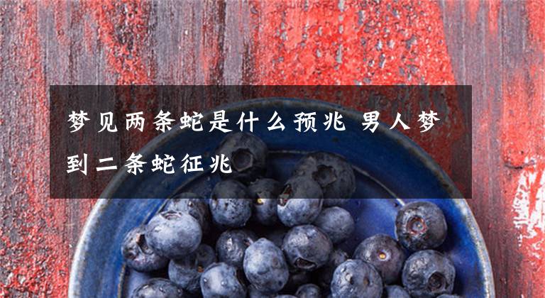 梦见两条蛇是什么预兆 男人梦到二条蛇征兆