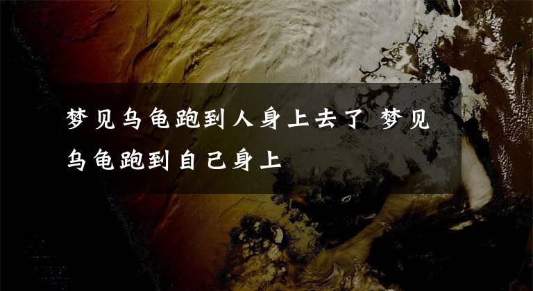 梦见乌龟跑到人身上去了 梦见乌龟跑到自己身上
