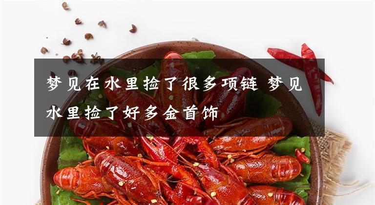 梦见在水里捡了很多项链 梦见水里捡了好多金首饰