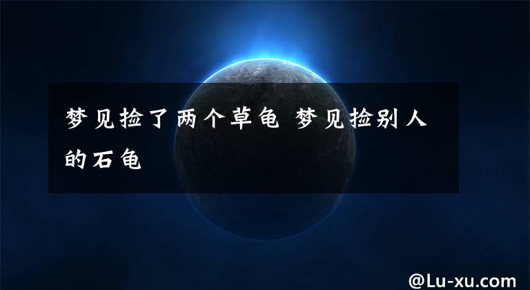 梦见捡了两个草龟 梦见捡别人的石龟