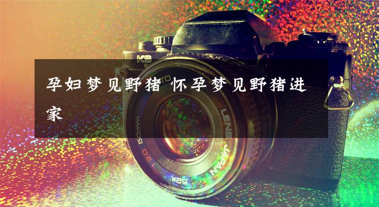 孕妇梦见野猪 怀孕梦见野猪进家