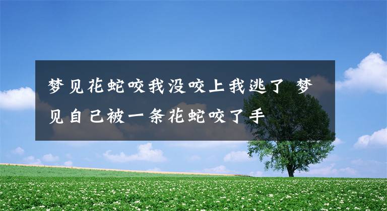 梦见花蛇咬我没咬上我逃了 梦见自己被一条花蛇咬了手