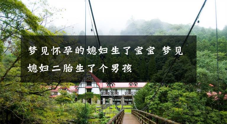 梦见怀孕的媳妇生了宝宝 梦见媳妇二胎生了个男孩