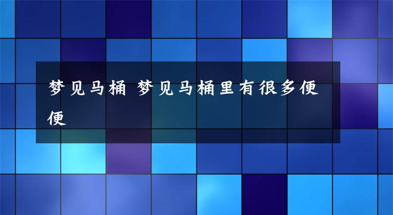 梦见马桶 梦见马桶里有很多便便