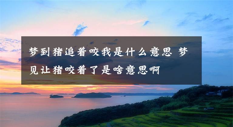 梦到猪追着咬我是什么意思 梦见让猪咬着了是啥意思啊