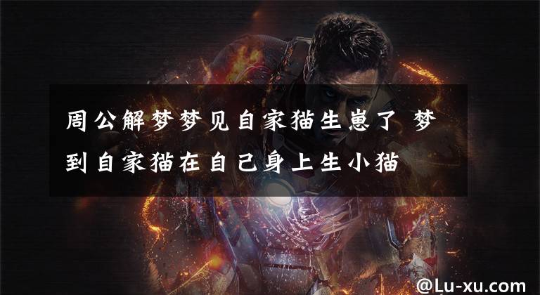周公解梦梦见自家猫生崽了 梦到自家猫在自己身上生小猫