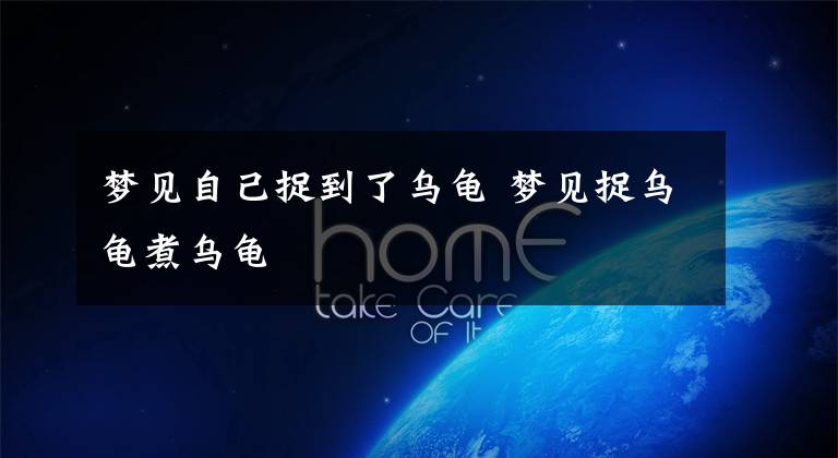 梦见自己捉到了乌龟 梦见捉乌龟煮乌龟