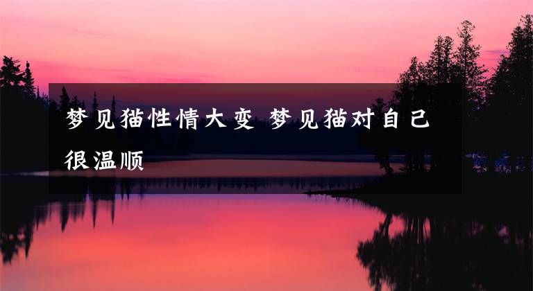 梦见猫性情大变 梦见猫对自己很温顺
