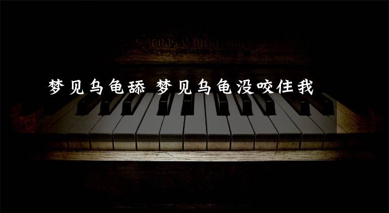 梦见乌龟舔 梦见乌龟没咬住我