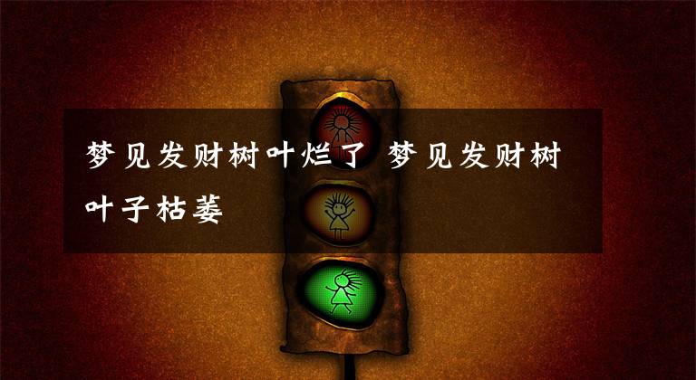 梦见发财树叶烂了 梦见发财树叶子枯萎